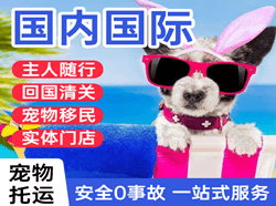 海口机场托运国际宠物托运 【国
